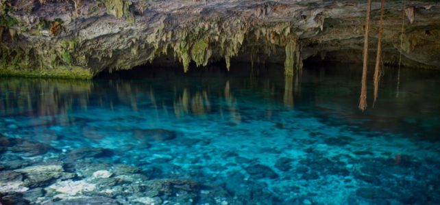 Tours and Activities